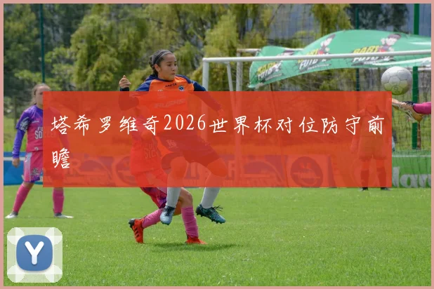 塔希罗维奇2026世界杯对位防守前瞻