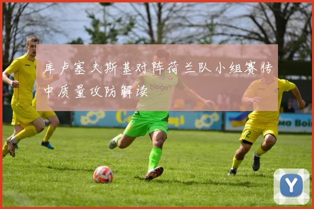 库卢塞夫斯基对阵荷兰队小组赛传中质量攻防解读