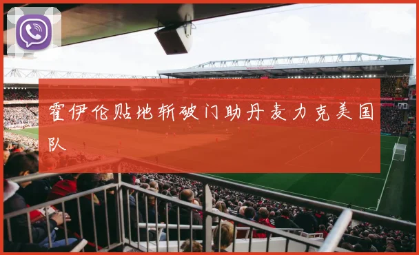 霍伊伦贴地斩破门助丹麦力克美国队
