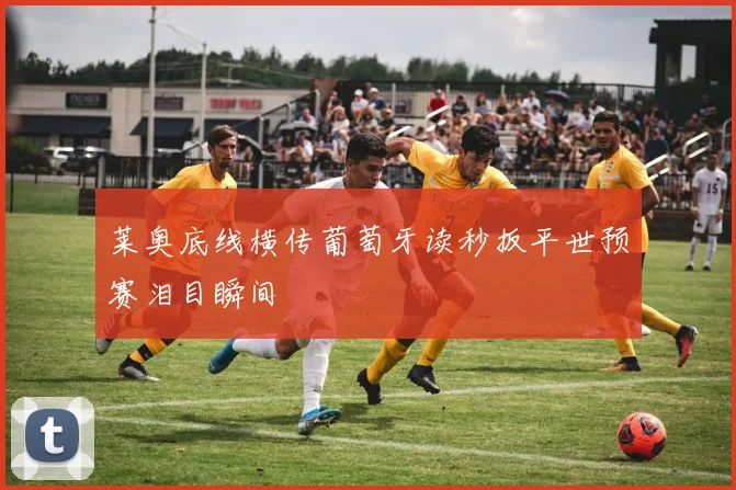 莱奥底线横传葡萄牙读秒扳平世预赛泪目瞬间