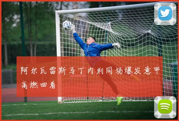 阿尔瓦雷斯马丁内利同场爆发意甲高燃回看
