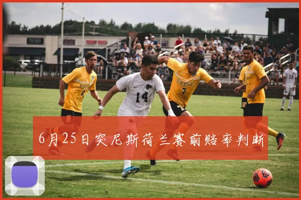 6月25日突尼斯荷兰赛前赔率判断