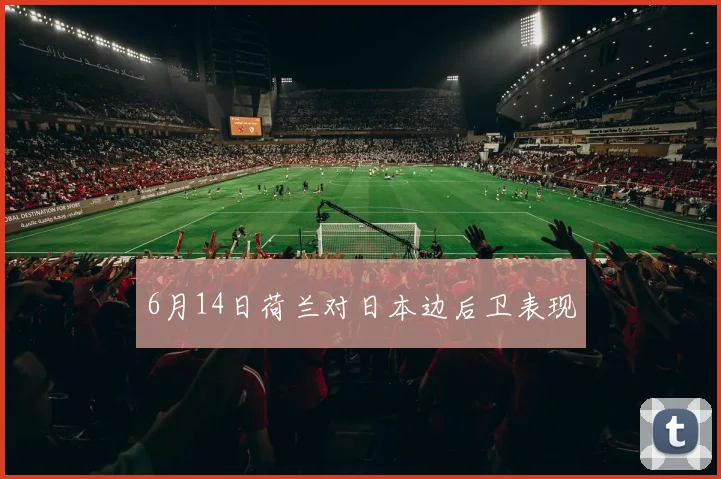 6月14日荷兰对日本边后卫表现