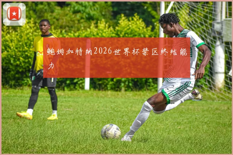 鲍姆加特纳2026世界杯禁区终结能力