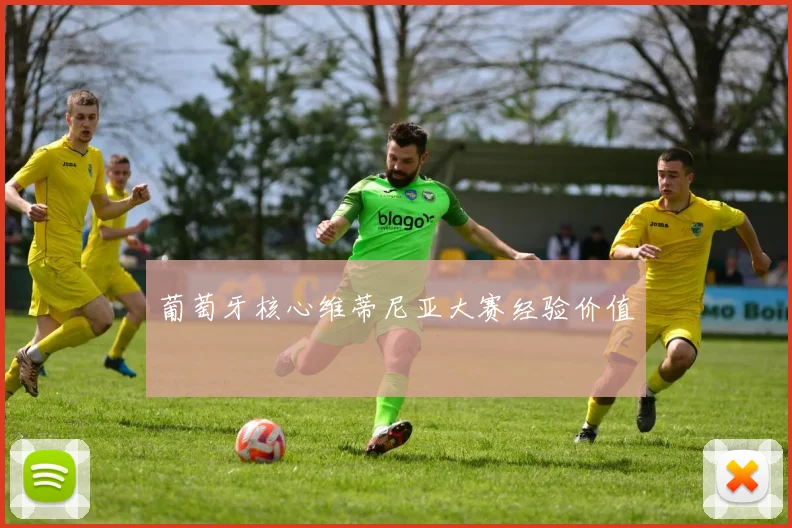 葡萄牙核心维蒂尼亚大赛经验价值