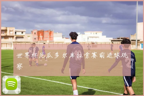 世界杯厄瓜多尔库拉索赛前进球观察