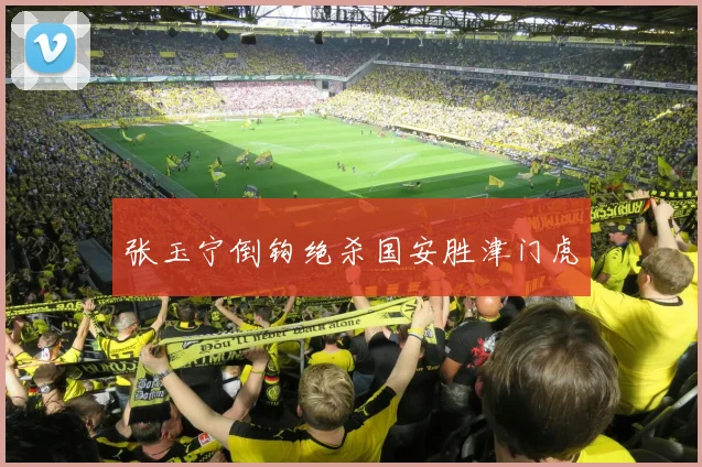 张玉宁倒钩绝杀国安胜津门虎