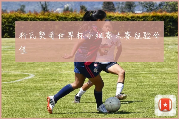 科瓦契奇世界杯小组赛大赛经验价值