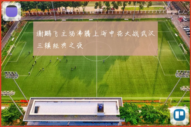 谢鹏飞主场沸腾上海申花大战武汉三镇经典之夜