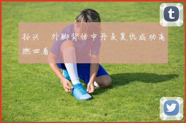 孙兴慜外脚背传中丹麦复仇成功高燃回看